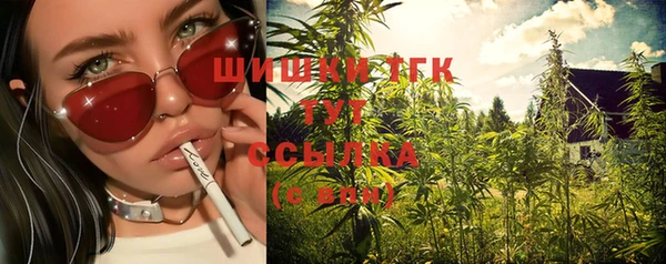 PSILOCYBIN Беломорск