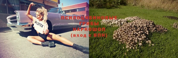 PSILOCYBIN Беломорск