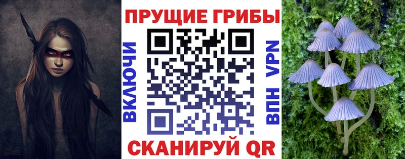 Псилоцибиновые грибы Cubensis  что такое   Орск 